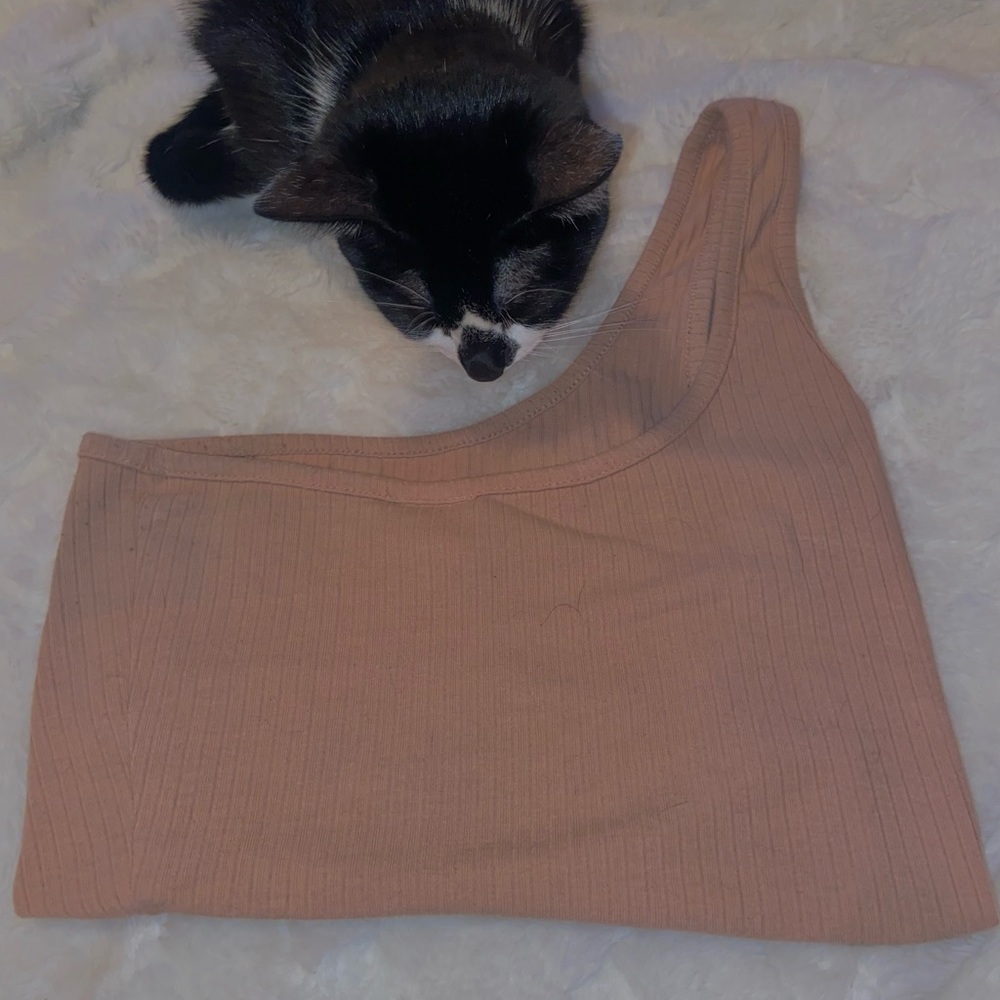 Off Shoulder Crop